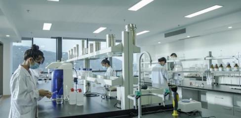 守正創(chuàng)新,理想華萊引領黑茶產業(yè)新變革